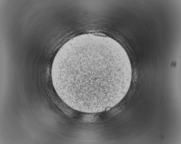 X0000113980521200911131058