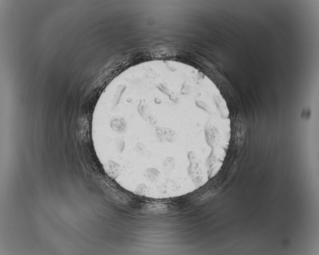X0000113980523200911131058