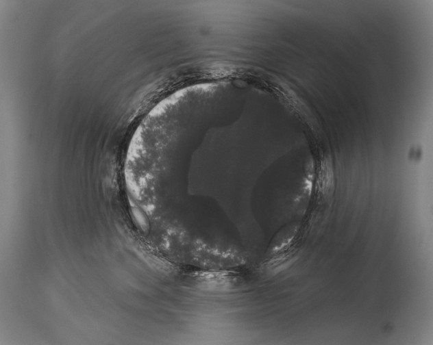 X0000113980524200911131058
