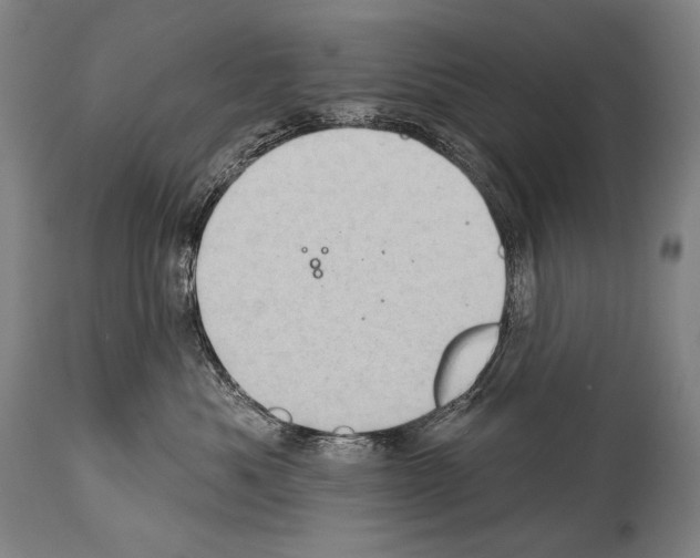 X0000113980525200911131058