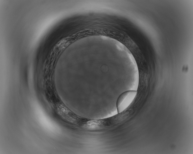 X0000113980526200911131058
