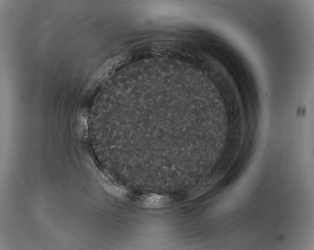 X0000113980527200911131058