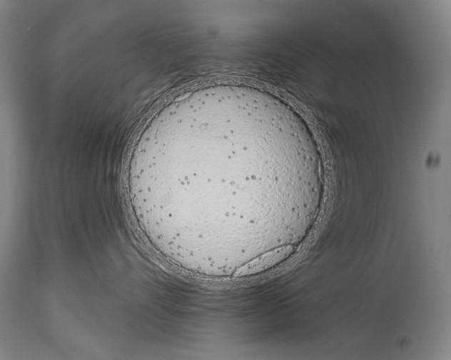 X0000113980528200911131058