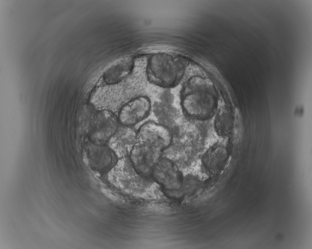 X0000113980529200911131057