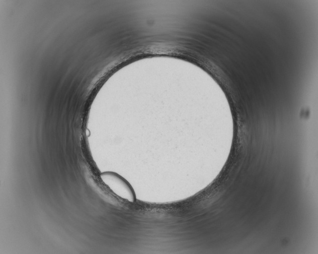 X0000113980530200911131057