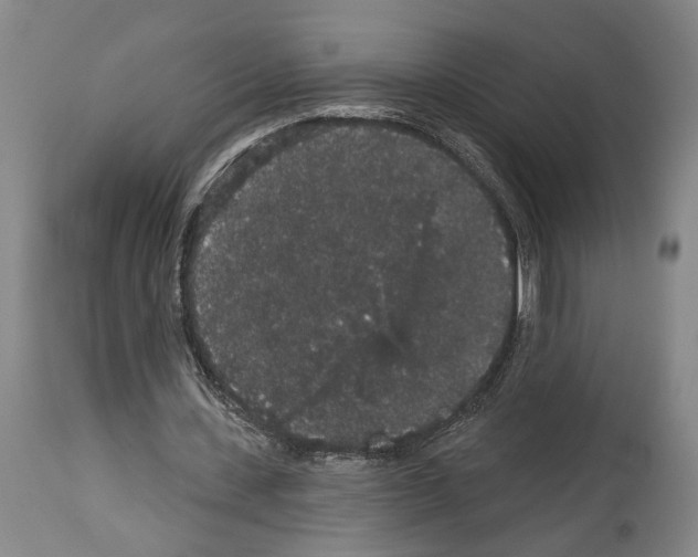 X0000113980531200911131057