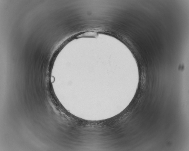 X0000113980532200911131057
