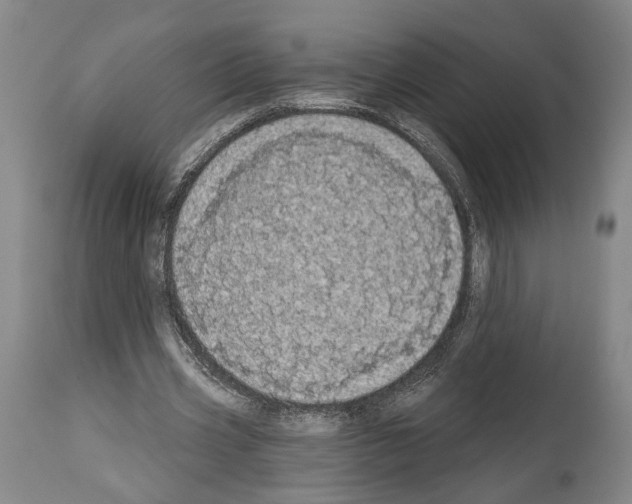 X0000113980533200911131057