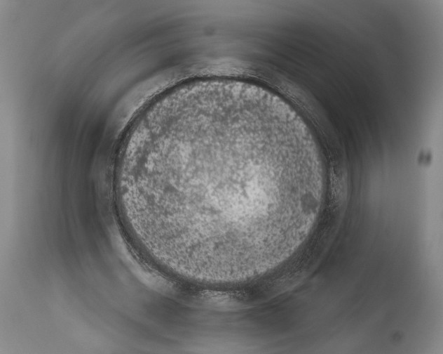 X0000113980534200911131057