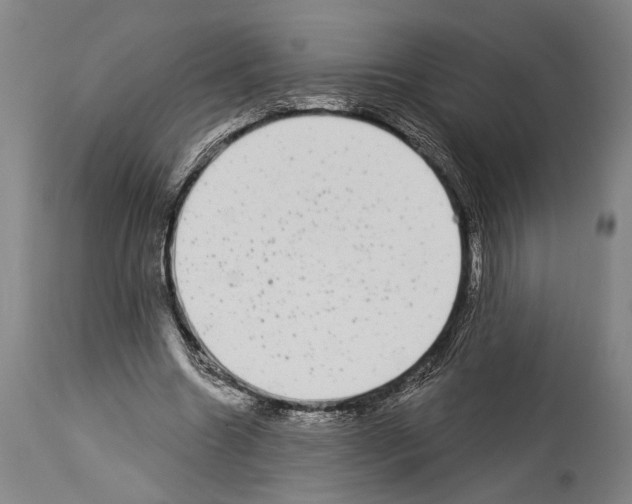 X0000113980538200911131057
