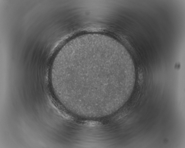 X0000113980539200911131057