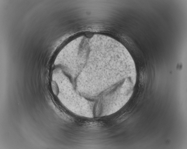 X0000113980540200911131057
