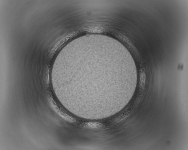 X0000113980541200911131057