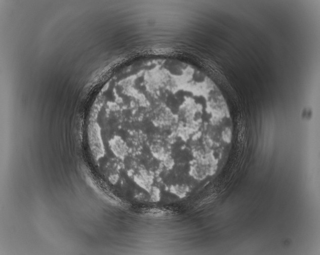 X0000113980542200911131057