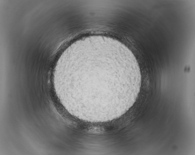 X0000113980543200911131057