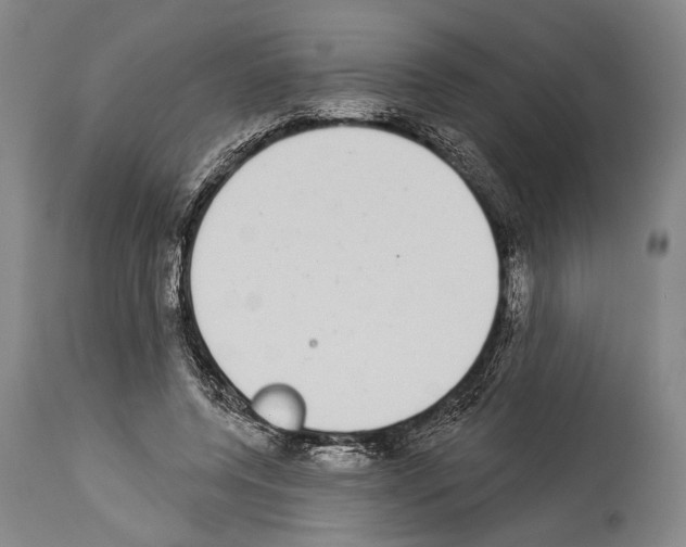 X0000113980544200911131058