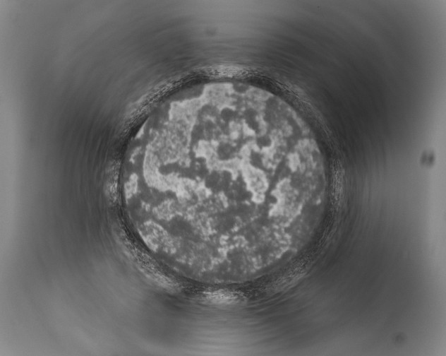 X0000113980545200911131058