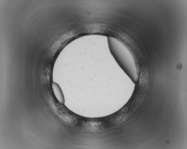 X0000113980546200911131058
