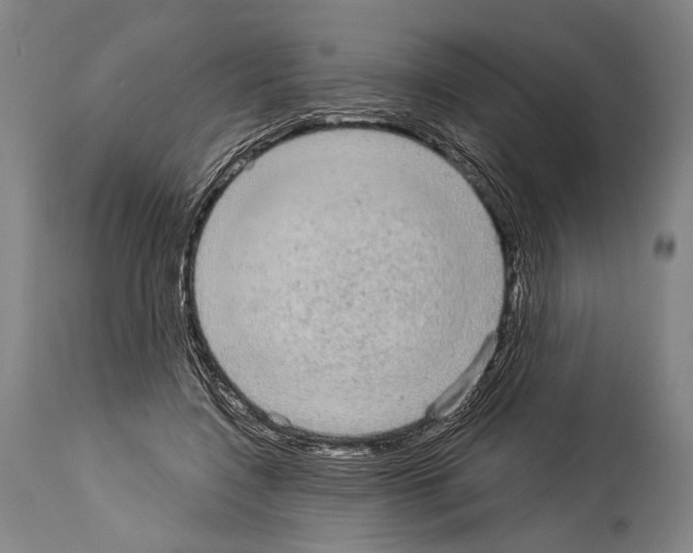 X0000113980548200911131058