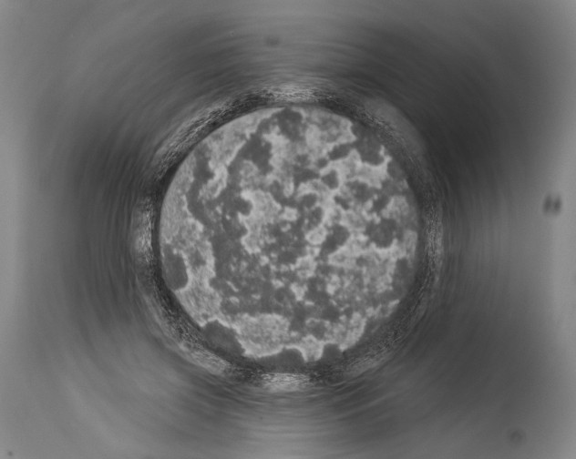 X0000113980549200911131058