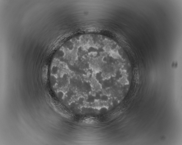 X0000113980550200911131058