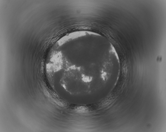 X0000113980551200911131058