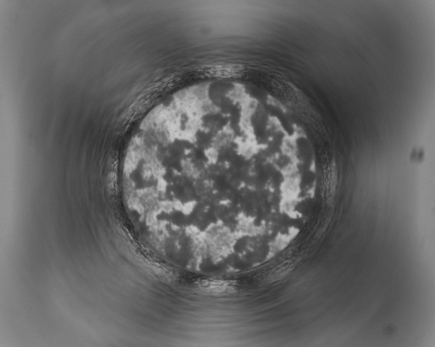 X0000113980553200911131058