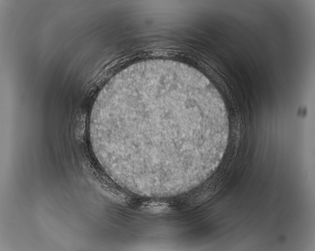 X0000113980554200911131058