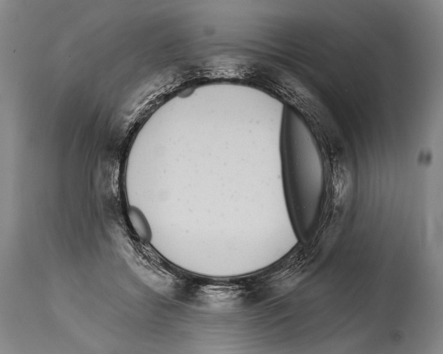X0000113980556200911131058