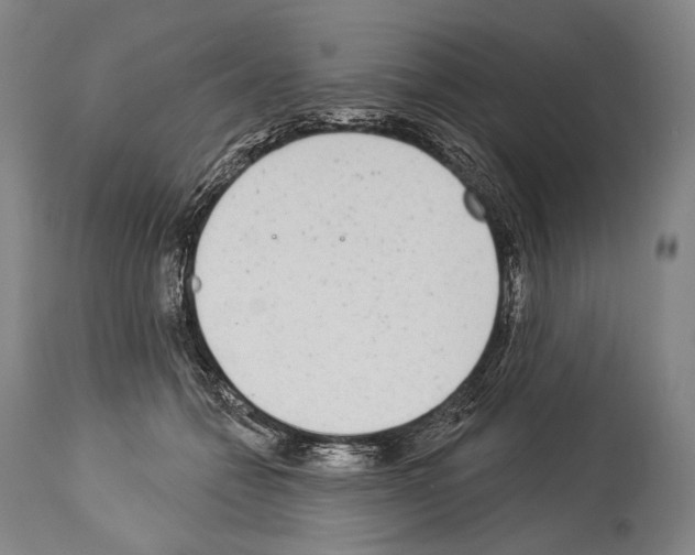 X0000113980558200911131058