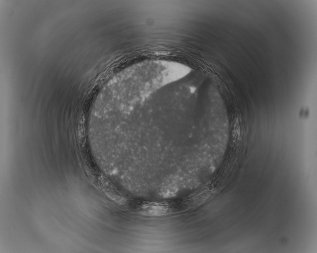 X0000113980559200911131058