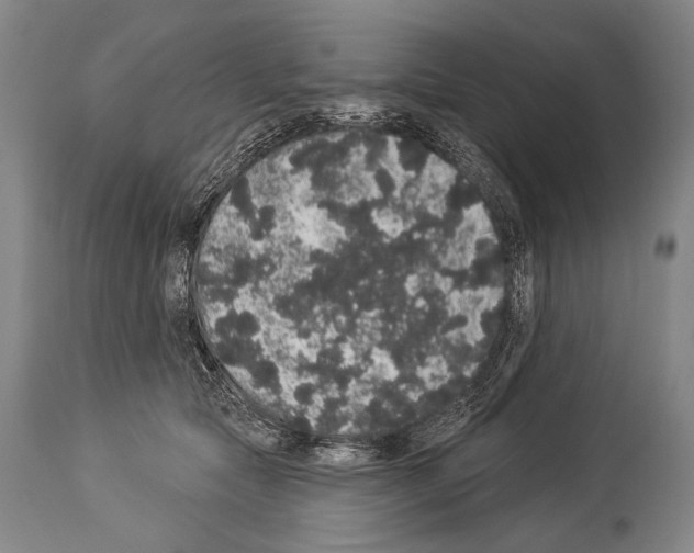 X0000113980561200911131058