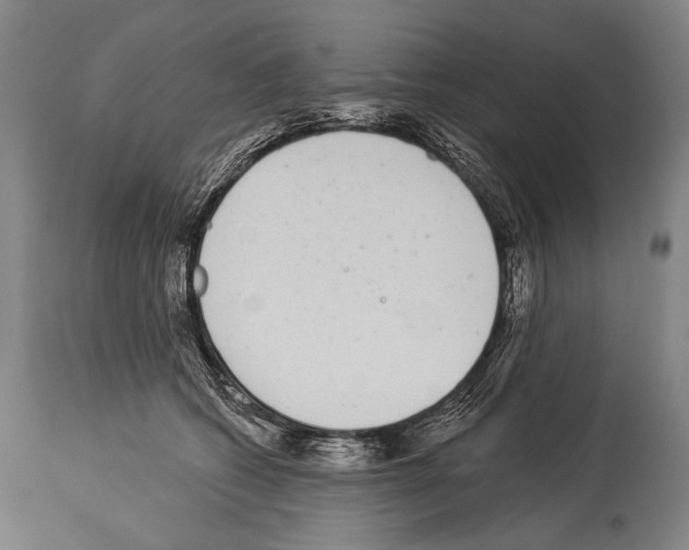 X0000113980562200911131058
