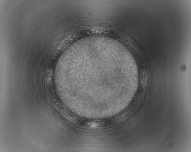 X0000113980563200911131058