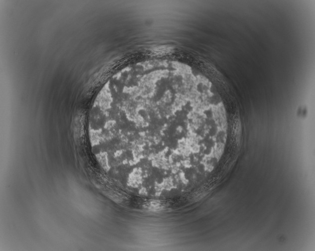 X0000113980565200911131058