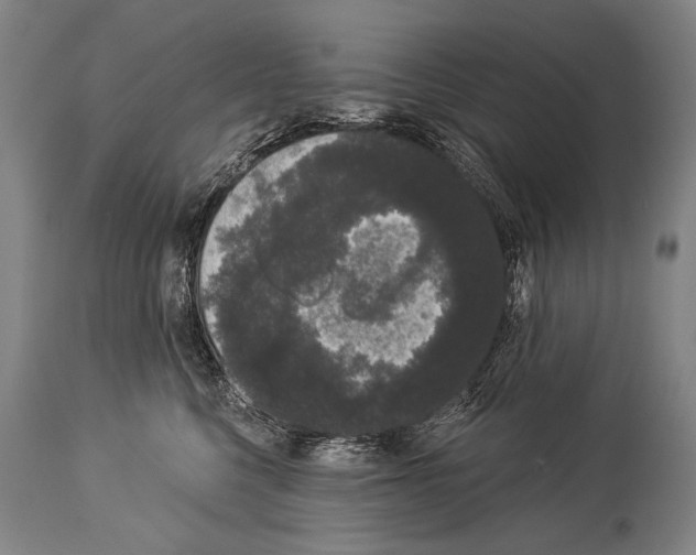X0000113980568200911131058