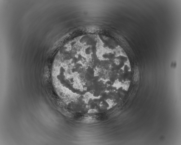 X0000113980569200911131058