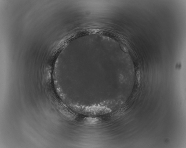 X0000113980570200911131058
