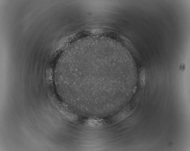 X0000113980571200911131058