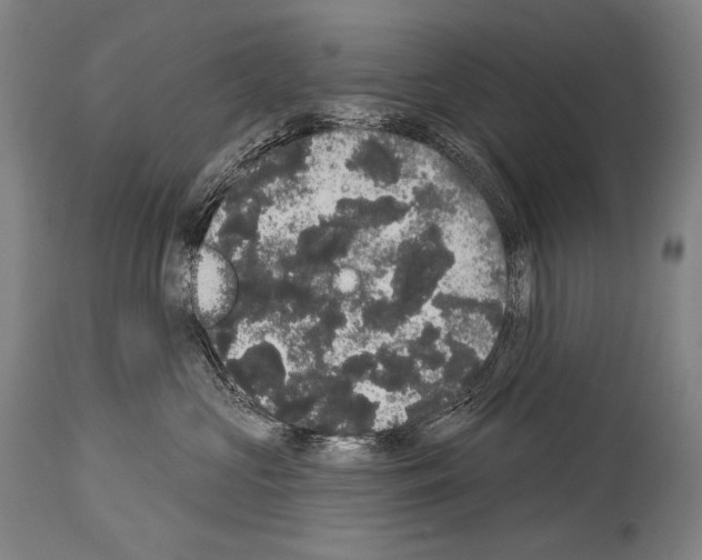 X0000113980573200911131058