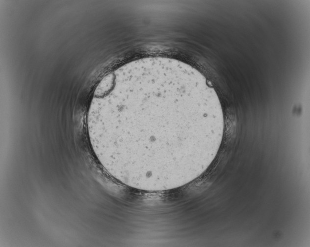 X0000113980574200911131058
