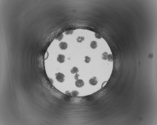 X0000113980575200911131058