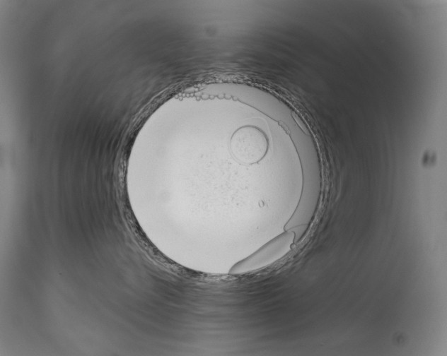 X0000113980576200911131058