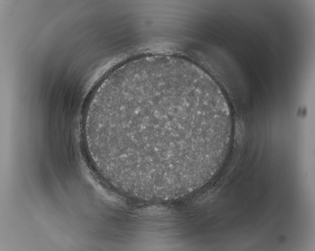 X0000113980578200911131057