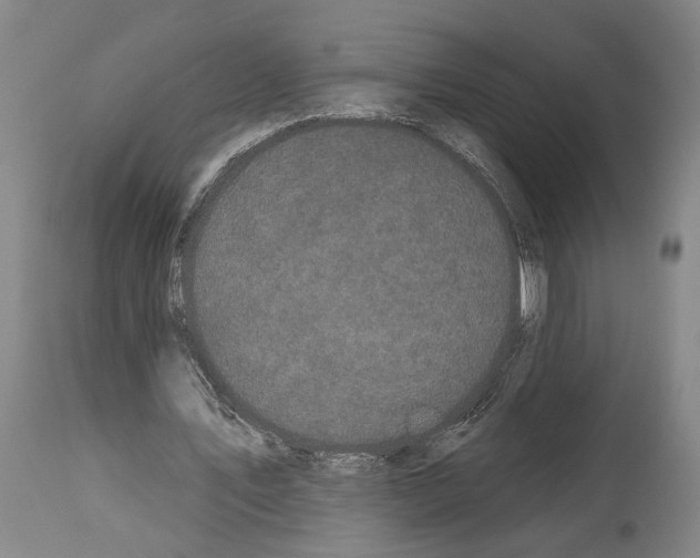 X0000113980579200911131057