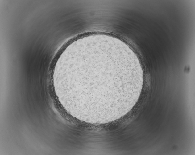 X0000113980580200911131057