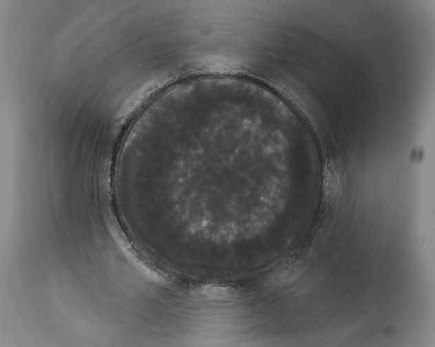 X0000113980581200911131057