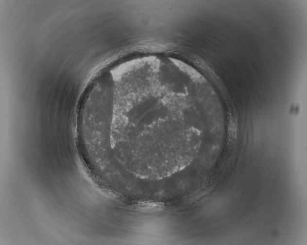 X0000113980582200911131057