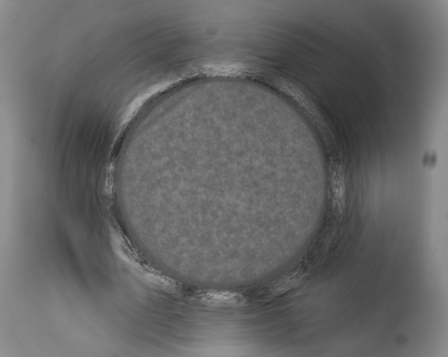 X0000113980583200911131057