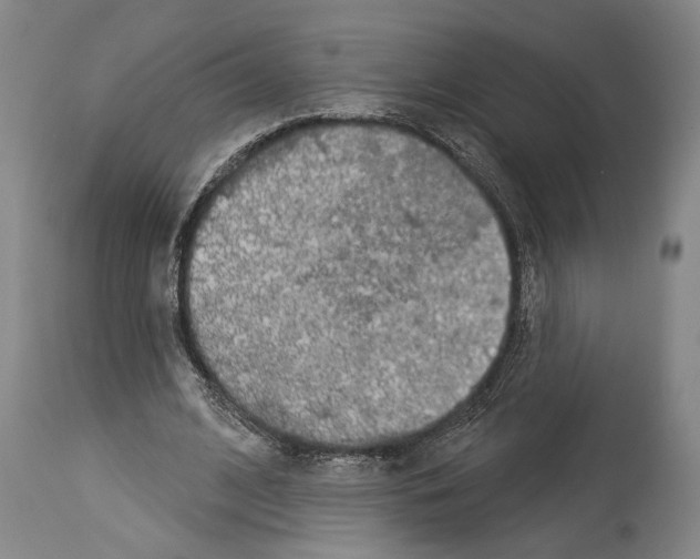 X0000113980584200911131057
